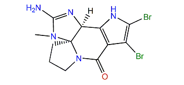 9-N-Methylcylindradine A